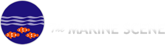 marine-scene-logo.png